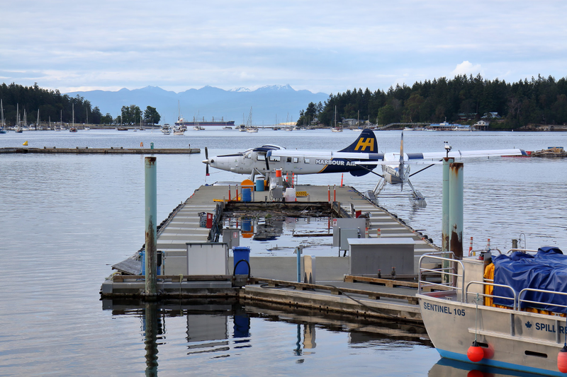 Illustration for article titled Pics from the Curbside: 2018-07-07 at Nanaimo